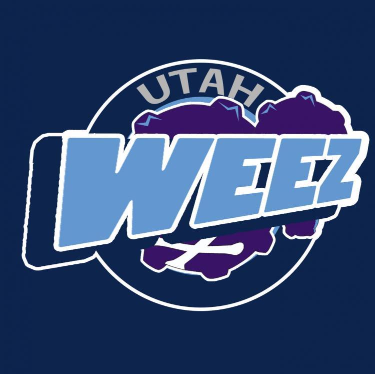 Utah Jazz Pokemon logo fabric transfer